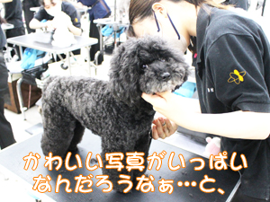 ☆カメラ目線特集☆